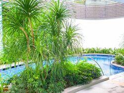 8 Saint Thomas (D9), Condominium #576772701